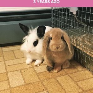 Meet your Posher, Mary